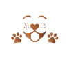 Der will nur spielen
