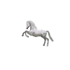 JUNGGESELLENABSCHIED Lustig Single Geschenkidee