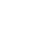 Big Bro