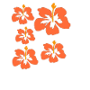 Hawaii flower beach beach gift