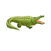 crocodile