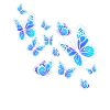 Butterfly Flying