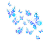 Schmetterling
