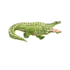 Prédateur de crocodile
