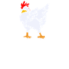 Chicken Chicken Whisperer