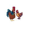 Chickens Whisperer Chicken