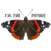 Butterfly text