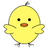 Yellow chick