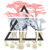Savannah wise elephant