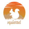 Squirrel in the nature