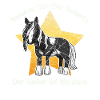 Irish Tinker Pferd Gypsy Cop
