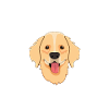 Golden Mama Golden Retriever