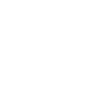 Springer Spaniel