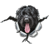 RussianBlackTerrier Metal