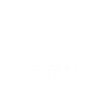 Koala eucalyptus gift
