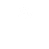 Koala heartbeat