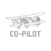 Co-pilot pilot flying