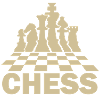 play chess player