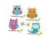 owl