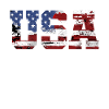Drapeau USA