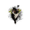 Katze Mutter