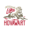 Hovawart dog dog