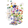 Thousand butterflies
