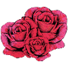 Rose flower