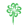 Shamrock symbol Celtic symbols