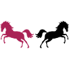 horses 02
