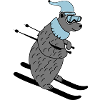 ski baer 02