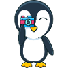 Penguin with camera
