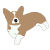 Corgi