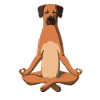 Yoga Rhodesian Ridgeback