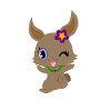 Hase