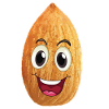 Smiling almond nut
