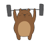 Weightlifting - Bear / Grizzly lifts weights