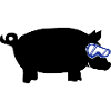 sau ski goggles 2