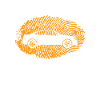 automobile
