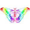 Butterfly rainbow gay pride