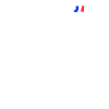 Frankreich Geschenk - Patriot Evolution
