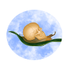 Skull_shit