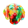 Weimaraner Hund Hunderasse