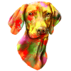 Vizsla dog dog gift