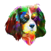 Chien Cavalier King Charles Spaniel