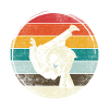 judo
