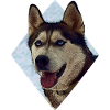 Husky