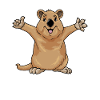 Quokka