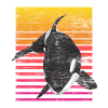 Orca whale