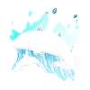 Orca